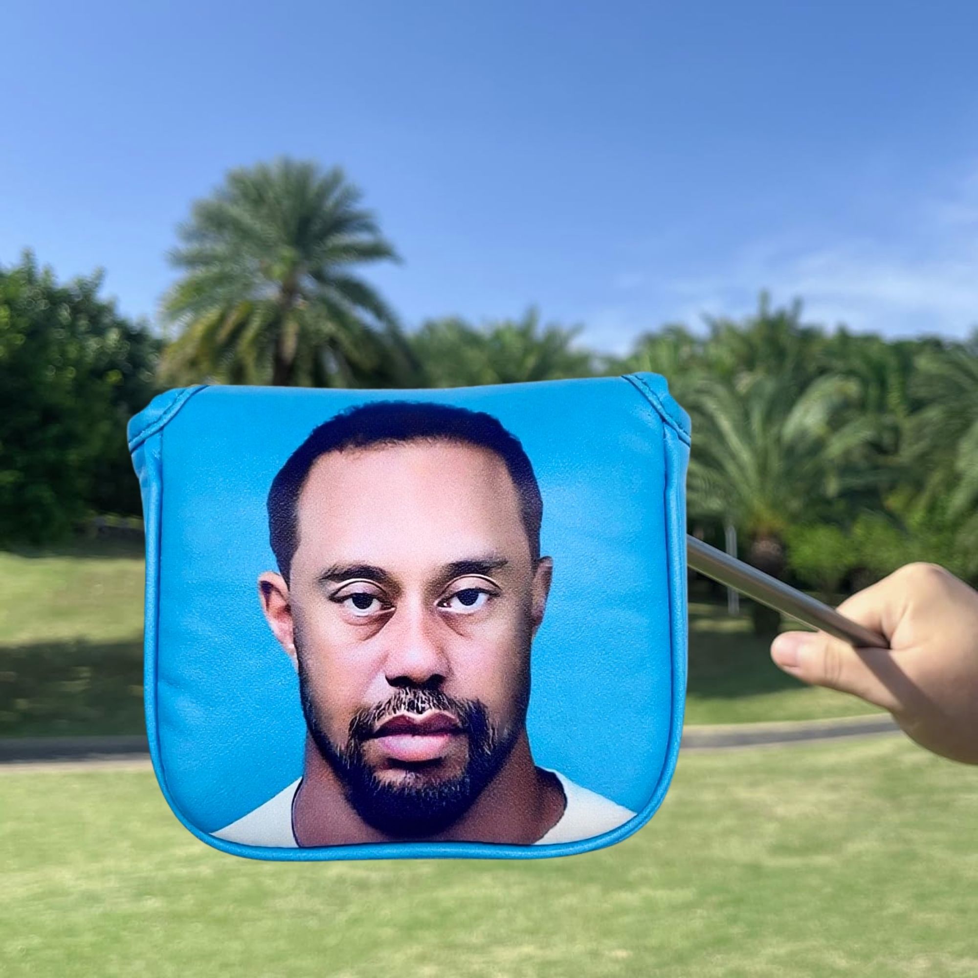 Забавный чехол для головы с мо – обзор и цена Golf Putter